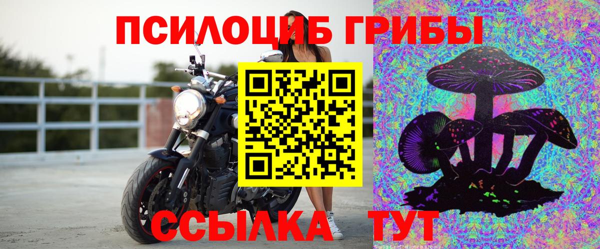 Галлюциногенные грибы Magic Shrooms Кизилюрт