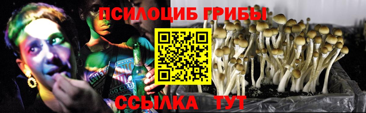 Кизилюрт  Галлюциногенные грибы мухоморы  купить наркоту  Вход с VPN 