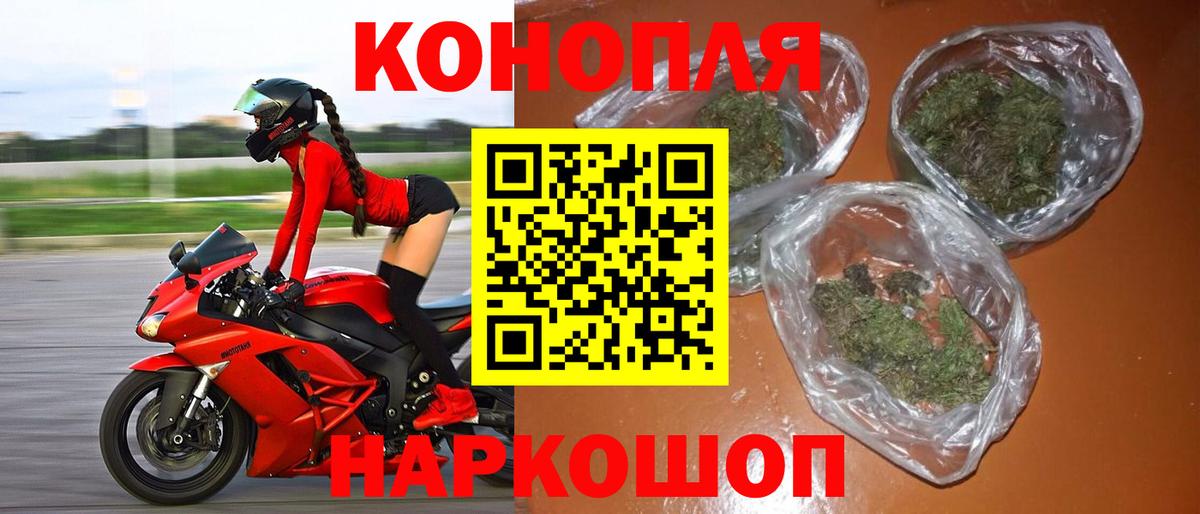 Конопля индика Кизилюрт
